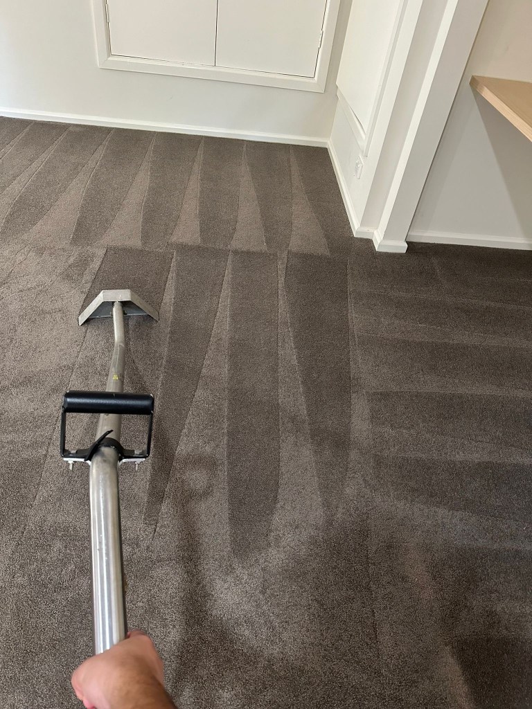 Steam Cleaning Detail Capital Cleaning Services