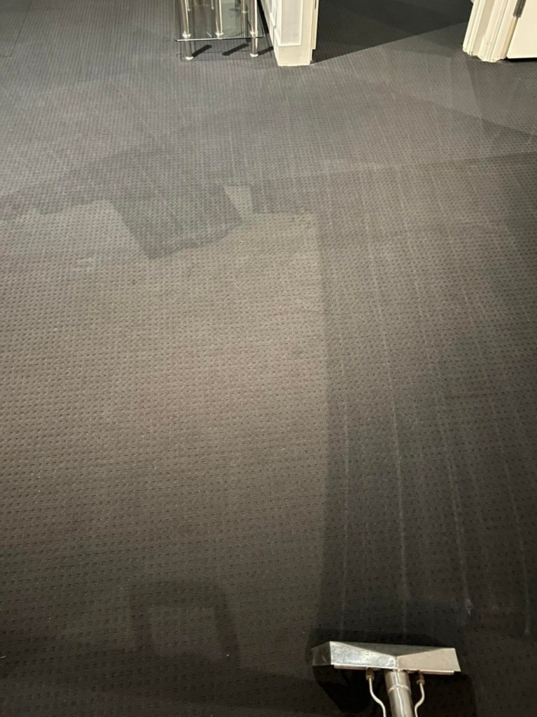 Steam Cleaning Detail Capital Cleaning Services